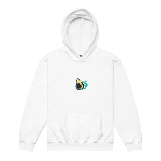 Youth heavy blend hoodie